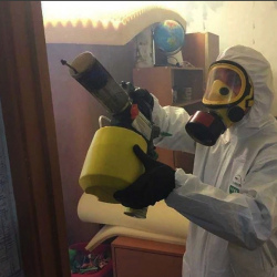 Уничтожение клопов в квартире. Северное